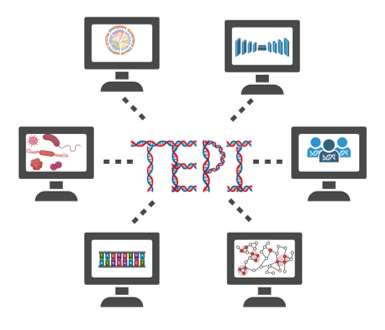TEPI